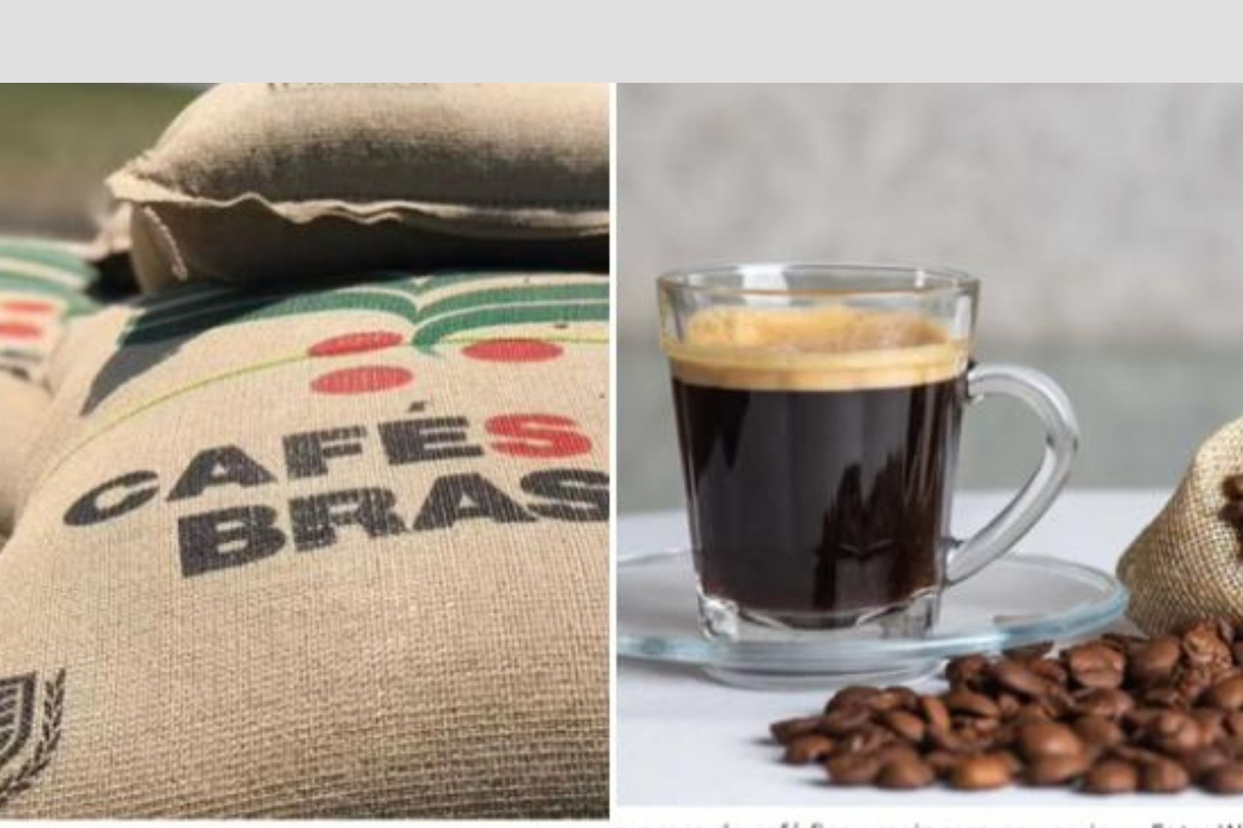 Por que o preço do café não subiu para o consumidor após a chuva de pedras?