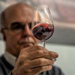 Dia do Vinho Brasileiro tem festa com degustação e shows gratuitos no RS neste domingo (21)