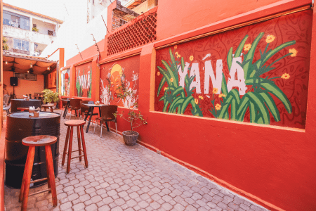 O Yanã foi criado em 2019 • Divulgação Yanã