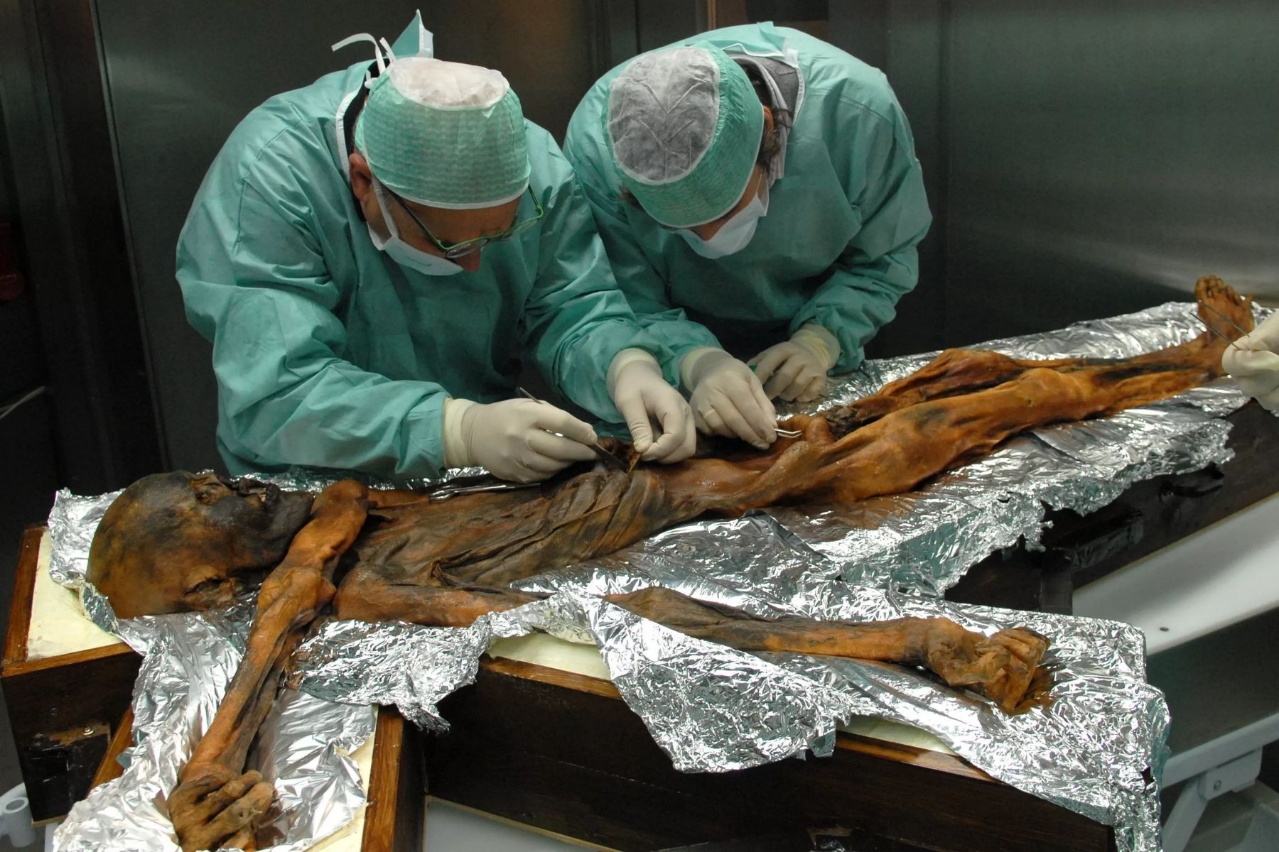 Cientistas transformam fungo de múmia de 5.300 anos em fermento para pão; entenda