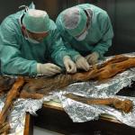 Cientistas transformam fungo de múmia de 5.300 anos em fermento para pão; entenda