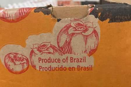 • MAPA/ Divulgação
