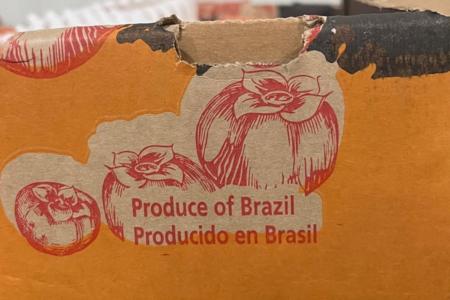 • MAPA/ Divulgação