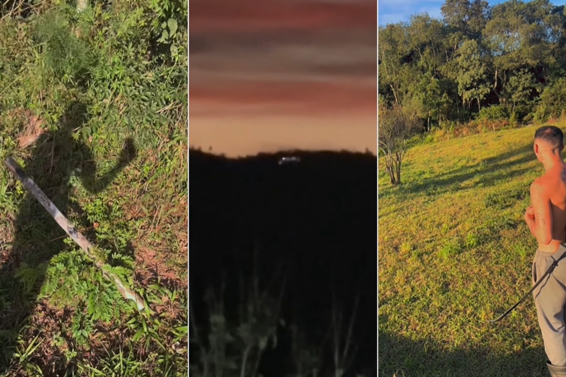Influencer viraliza ao flagrar suposto OVNI em sítio no Paraná; veja vídeo