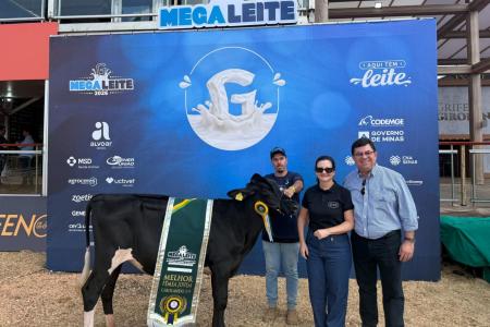 Megaleite: casal da Zona da Mata vence com melhor fêmea jovem Girolando 3/4