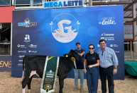 Megaleite: casal da Zona da Mata vence com melhor fêmea jovem Girolando 3/4