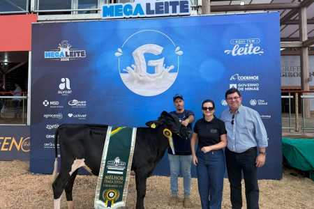 Megaleite: casal da Zona da Mata vence com melhor fêmea jovem Girolando 3/4