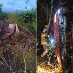Caminhão carregado com mangas capota e motorista morre preso às ferragens na MGC-122
