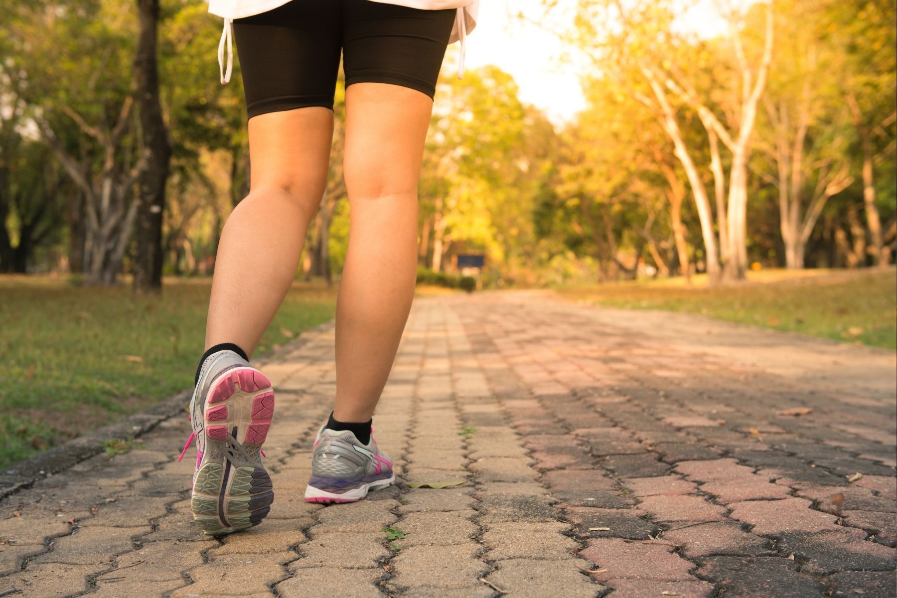 Especialistas: ‘Caminhar 1 hora por dia, 7 dias por semana, queima 75 mil calorias por ano'