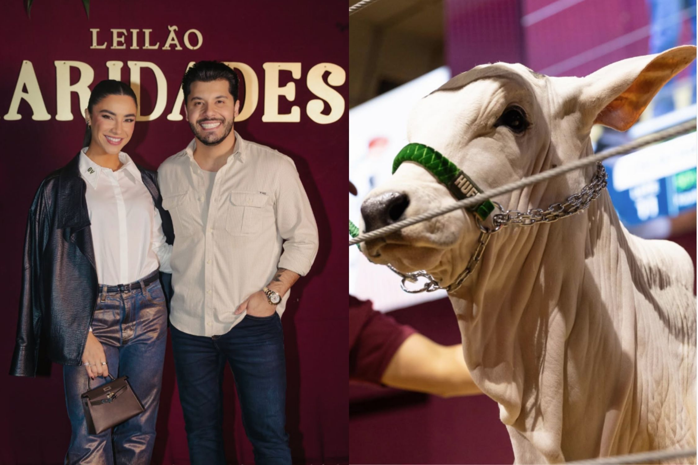 Murilo Huff faz estreia milionária na pecuária e fatura R$ 99 milhões em leilão de gado