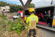 Acidente com van escolar mobiliza bombeiros em BH; cerca de 15 crianças estavam no veículo