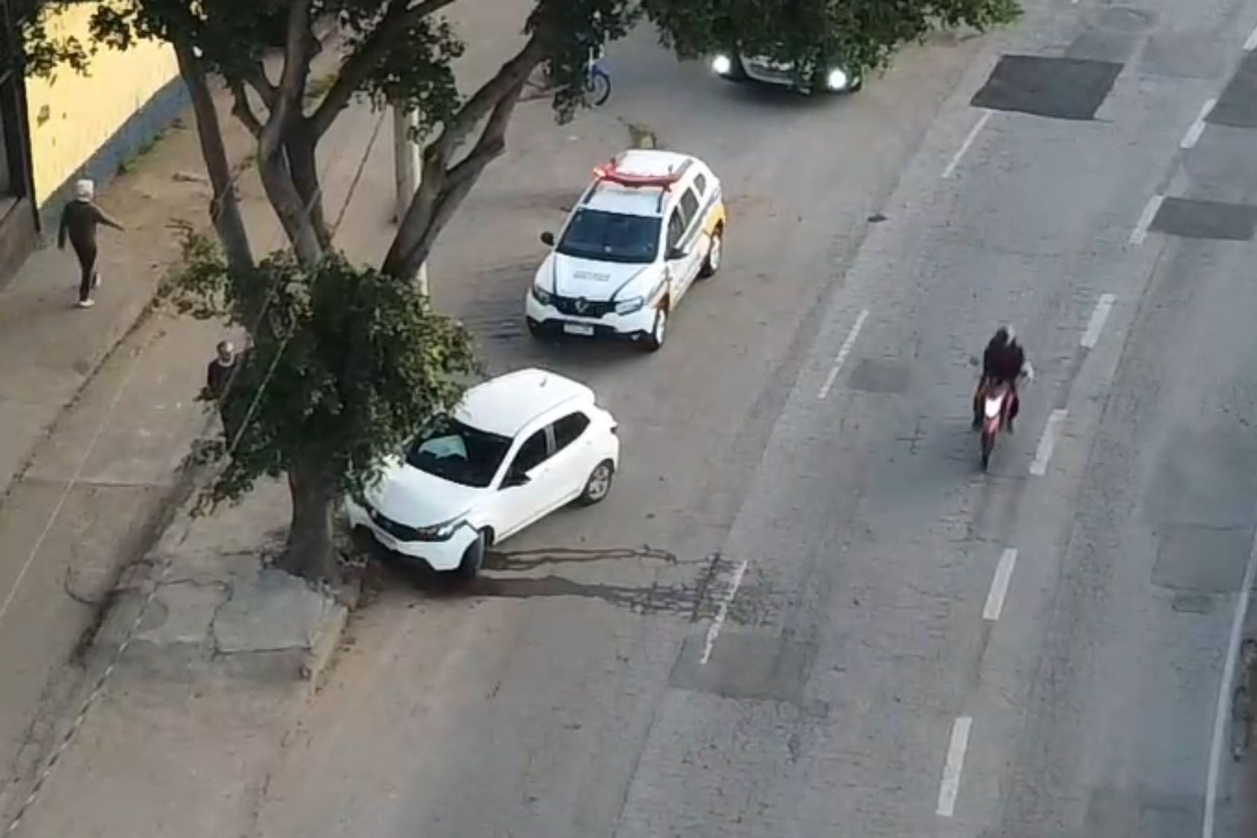 Motorista com sinais de embriaguez bate em árvore e foge na Av. Teresa Cristina, em BH