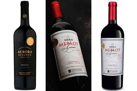 Ouro e Prata: vinhos Merlot brasileiros brilham em concurso na Suíça