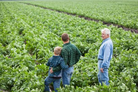 Governo lança Plano Safra da Agricultura Familiar com R$ 97,4 bilhões e juros menores