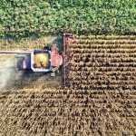 El Niño em MG: meteorologista alerta para ondas de calor e seca no agro