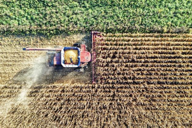 PIB do Brasil sobe 0,5% com agro forte, mas consumo das famílias perde força