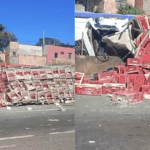 Motorista morre após caminhão carregado com galinhas tombar na BR-262