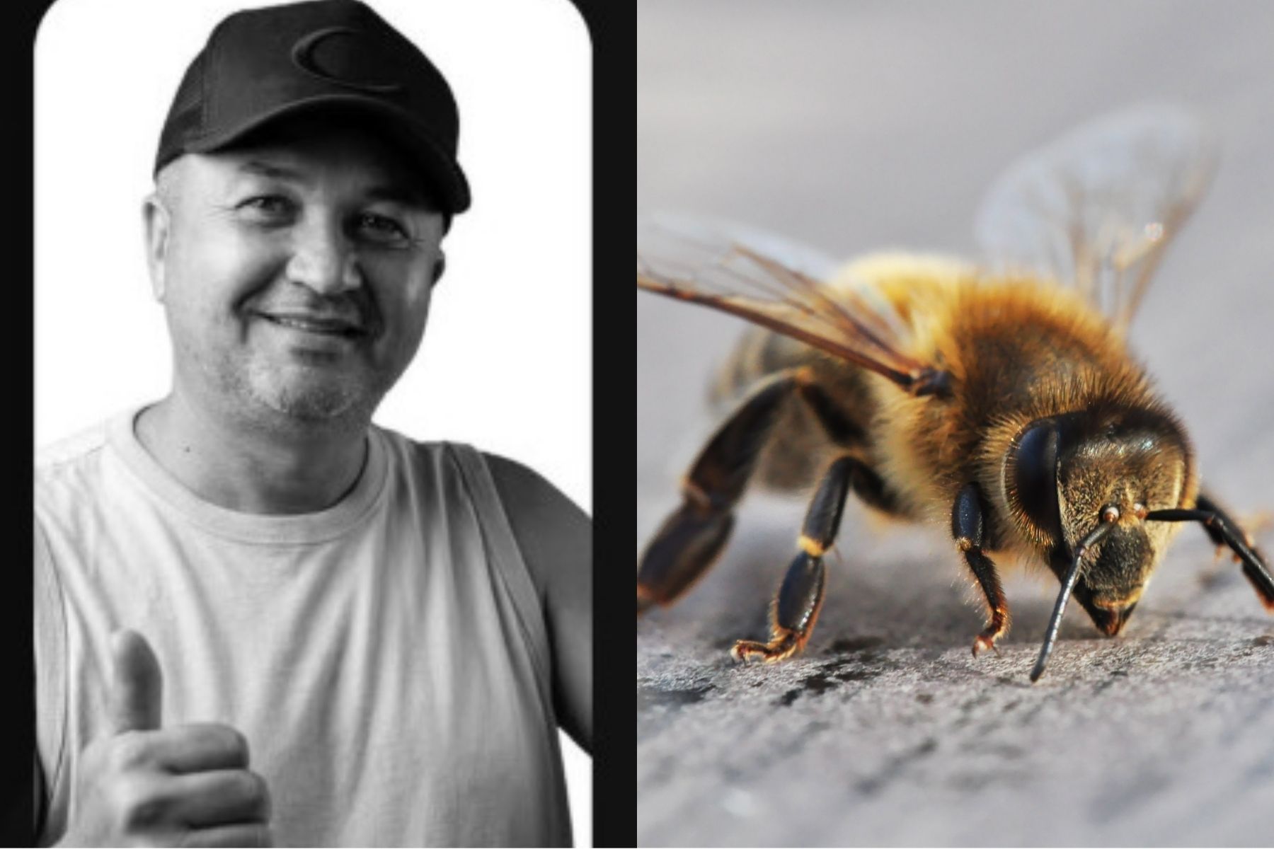 Major aposentado da PM morre após ser atacado por enxame de abelhas durante pescaria