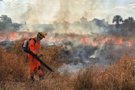 Alerta na seca: MG lança plano contra incêndios após prejuízo de R$ 1,2 bilhão