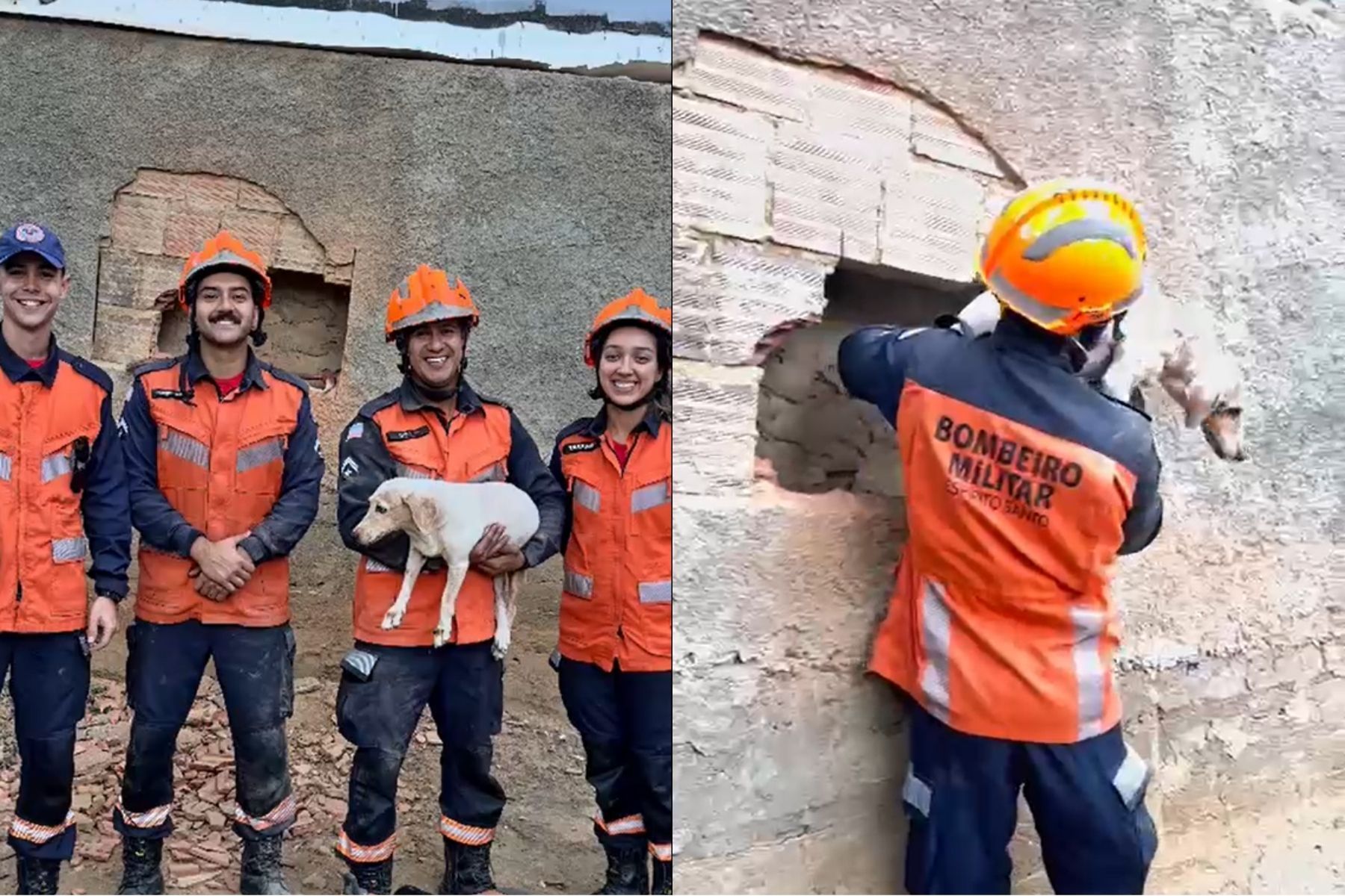 Cachorro é resgatado pelo Corpo de Bombeiros após ficar preso entre paredes no ES; veja vídeo