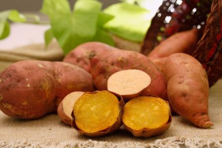 BRS BC179 Prenda, cultivar de batata-doce biofortificada da Embrapa • Paulo Lanzetta/ Embrapa