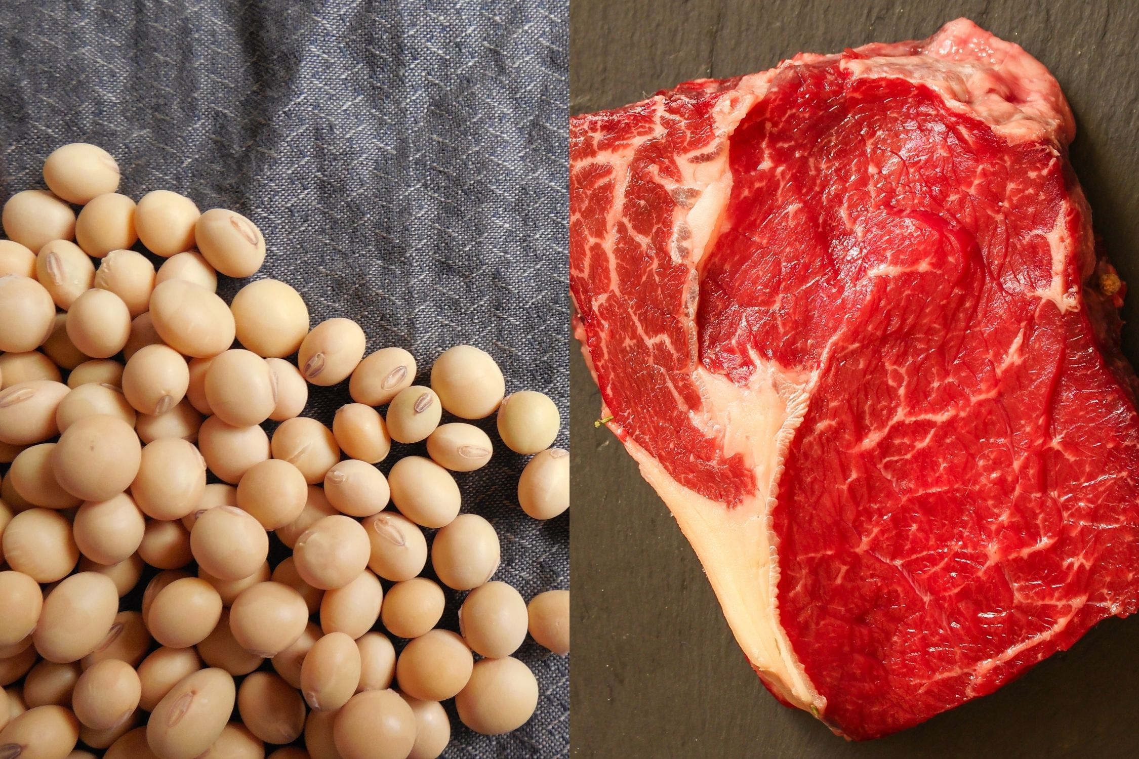 VBP do agro atinge R$ 1,4 trilhão em maio com força da soja e da carne bovina