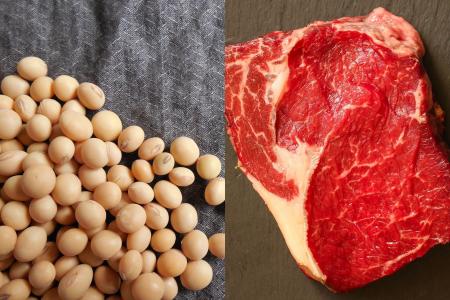 VBP do agro atinge R$ 1,4 trilhão em maio com força da soja e da carne bovina