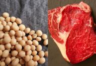 VBP do agro atinge R$ 1,4 trilhão em maio com força da soja e da carne bovina