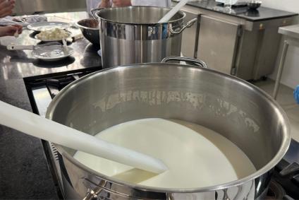 Produção de queijo tipo Camembert em aula de BH