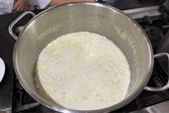 Produção de queijo tipo Camembert em aula de BH