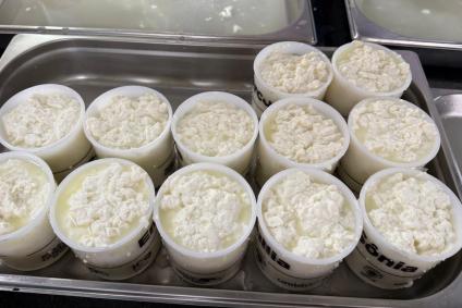 Produção de queijo tipo Camembert em aula de BH