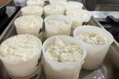 Produção de queijo tipo Camembert em aula de BH