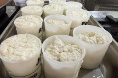 Produção de queijo tipo Camembert em aula de BH