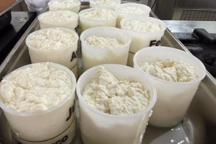 Produção de queijo tipo Camembert em aula de BH