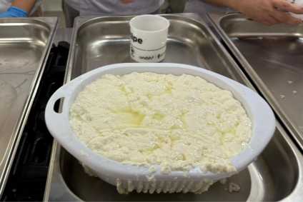 Produção de queijo tipo Camembert em aula de BH