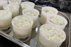 Produção de queijo tipo Camembert em aula de BH