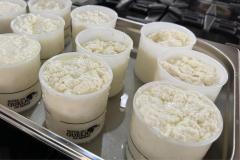 Produção de queijo tipo Camembert em aula de BH