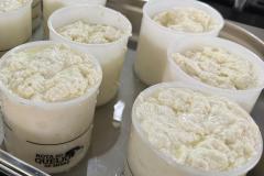 Produção de queijo tipo Camembert em aula de BH