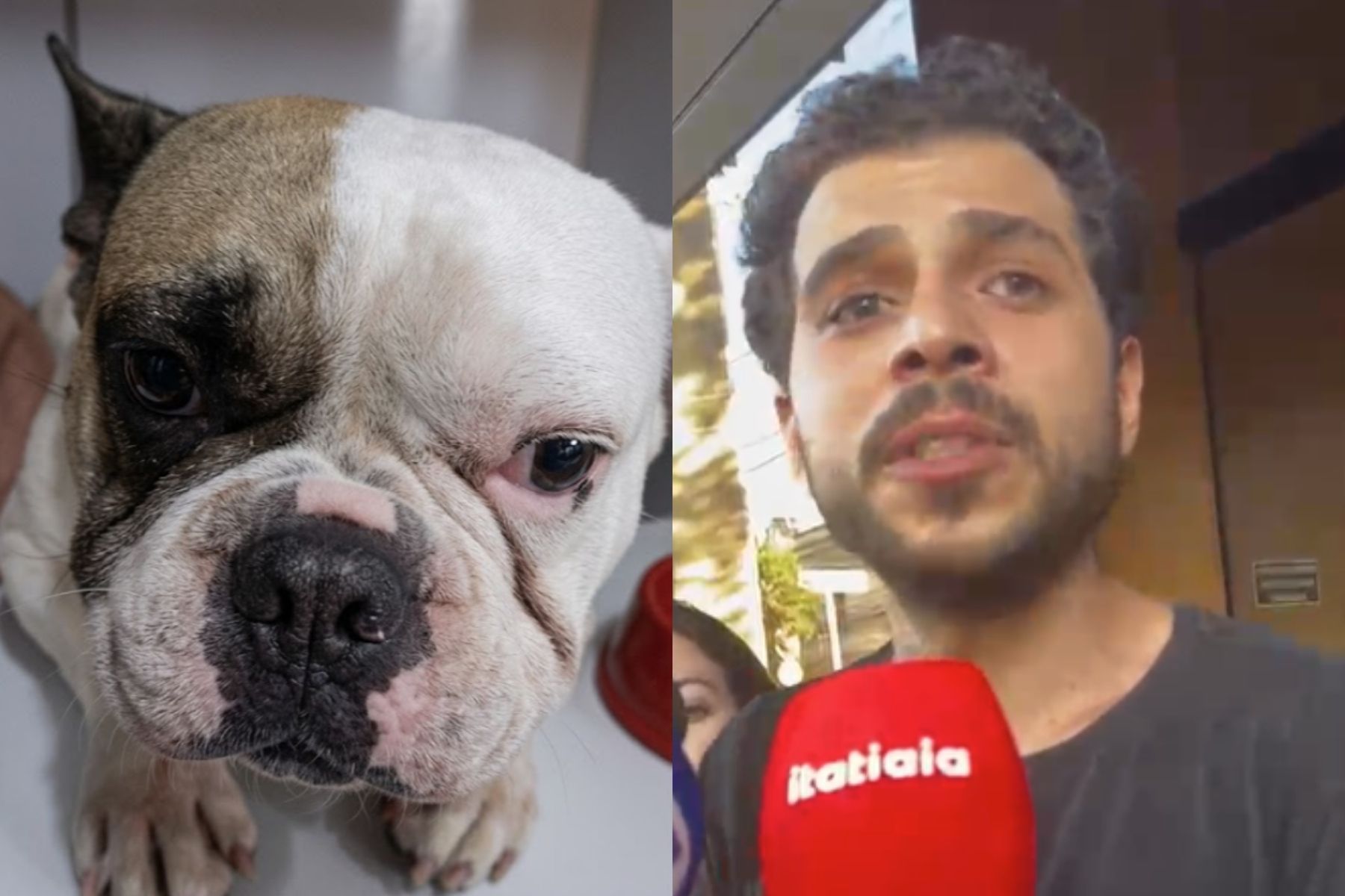 Tutor de cão baleado em BH chama ataque de barbárie e desabafa: 'Estou muito abalado'