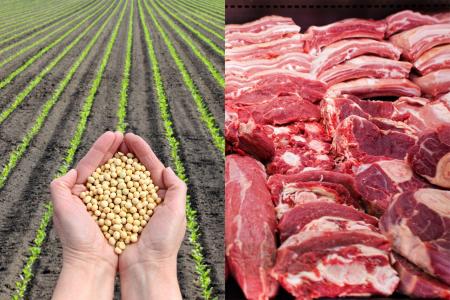 Agro garante metade das exportações do Brasil em maio e acumula US$ 70,5 bilhões no ano