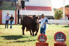 SANTA GERTRUDIS