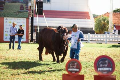 SANTA GERTRUDIS