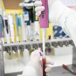 São Paulo descarta segundo caso suspeito de ebola em 2026