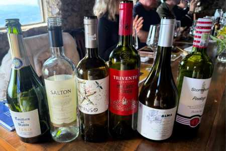 Sete vinhos foram harmonizados com 7 queijos • Giullia Gurgel/ Itatiaia