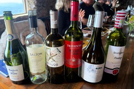 Sete vinhos foram harmonizados com 7 queijos • Giullia Gurgel/ Itatiaia