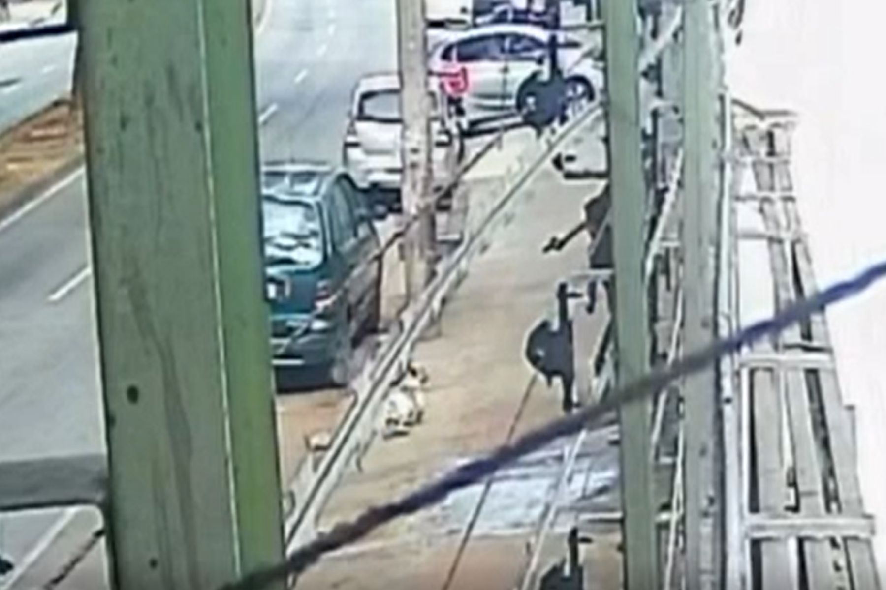 Homem saca arma em avenida movimentada de BH e atira contra cachorro; vídeo