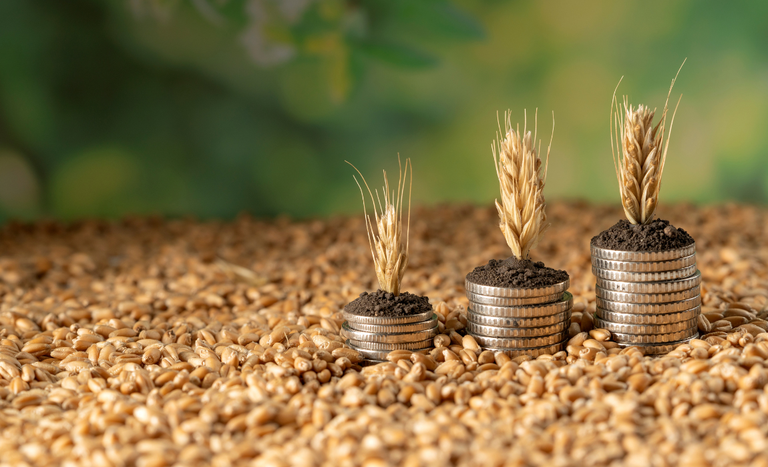 Estoque de Cédulas de Produto Rural atinge R$ 565 bilhões em maio de 2026