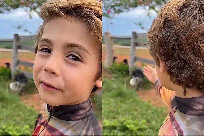 ‘Nunca vou machucar vocês’ diz menino de 6 anos que viralizou ao resgatar cães