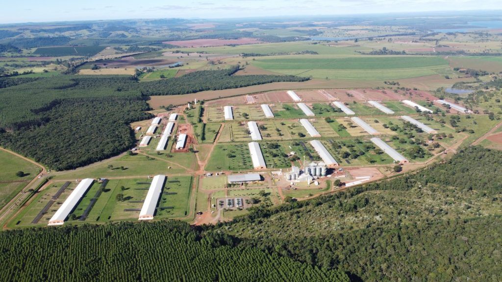 Regularização ambiental impulsiona produção sustentável no campo paulista