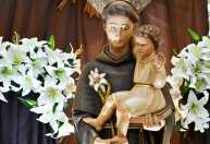 Novena na Catedral Metropolitana prepara devotos para festa de Santo Antônio